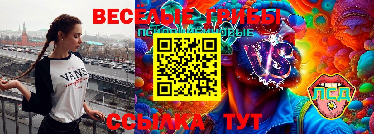 наркотики  Вход с VPN  Кумертау  Псилоцибиновые грибы Cubensis 