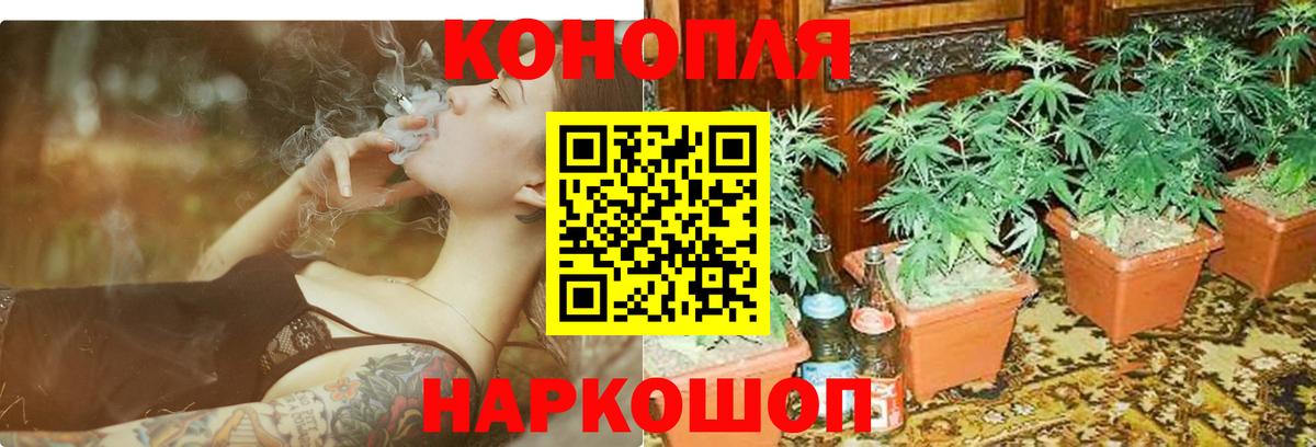 Бошки Шишки Ganja Кумертау